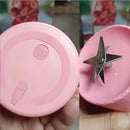 Portable Mini Juicer Blender - PAKS VARIETY